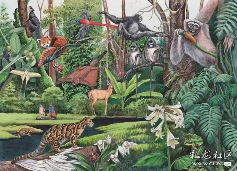 保护生物多样性