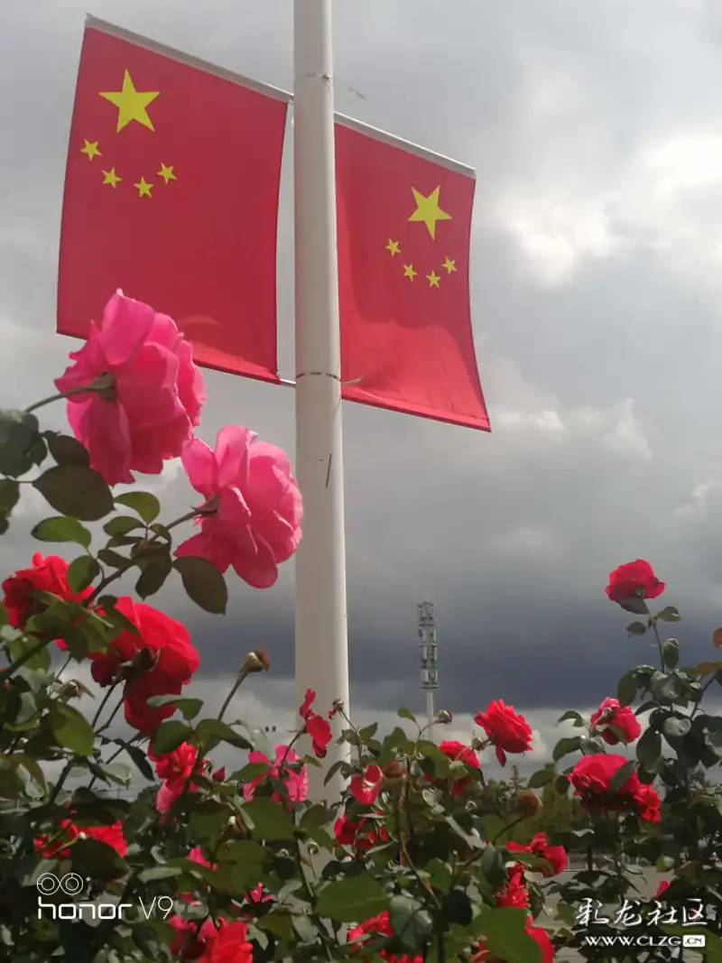 呈贡街头路边一一花映国旗旗更红
