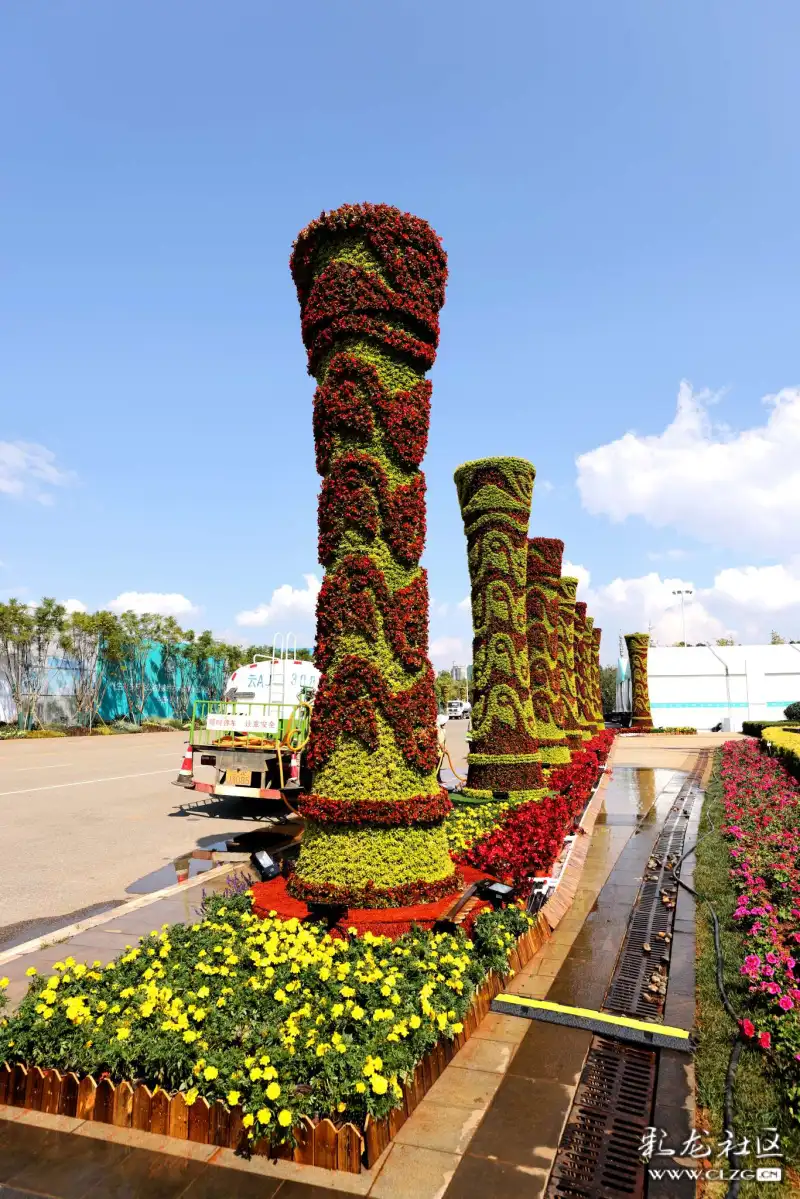 春城立体花坛大赛美景赏不尽节选一二三