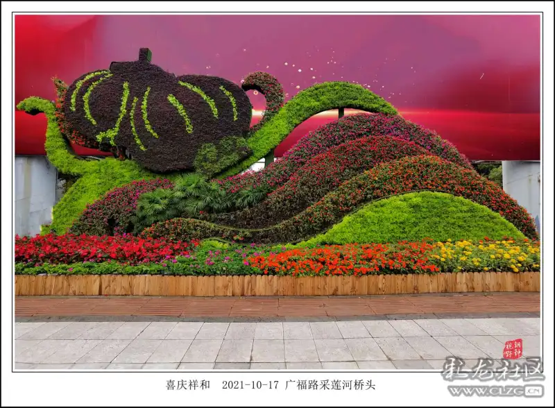 昆明百组立体花坛随拍之十四