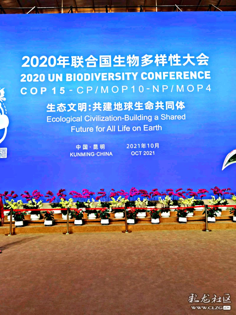 参观2020年联合国生物多样性大会主会场