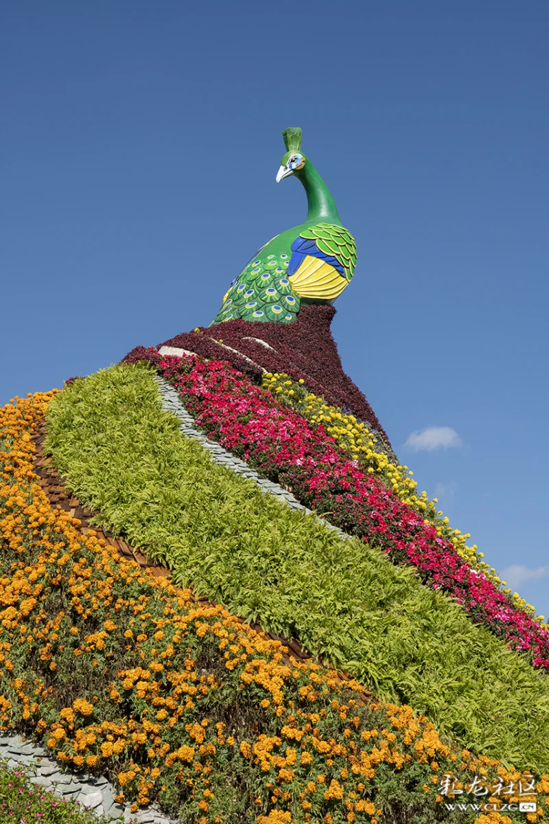 昆明世博园新面貌