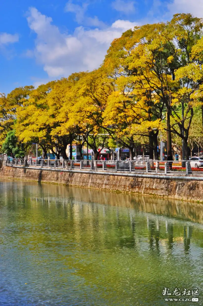 昆明城里的秋天