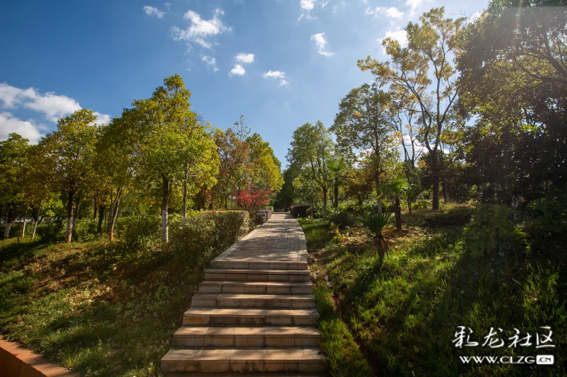 经开区周山公园剪影