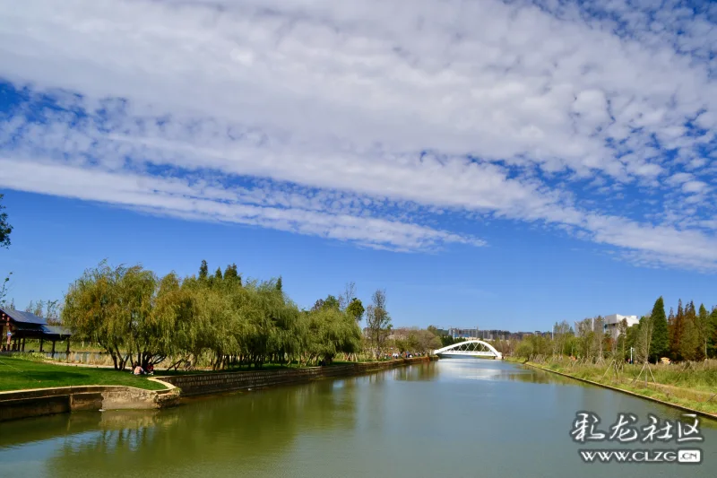 深秋的宝丰湿地公园感觉还在夏天