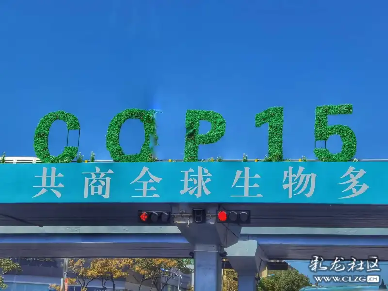 2000cop15昆明联合国生物多样性大会圆满落幕