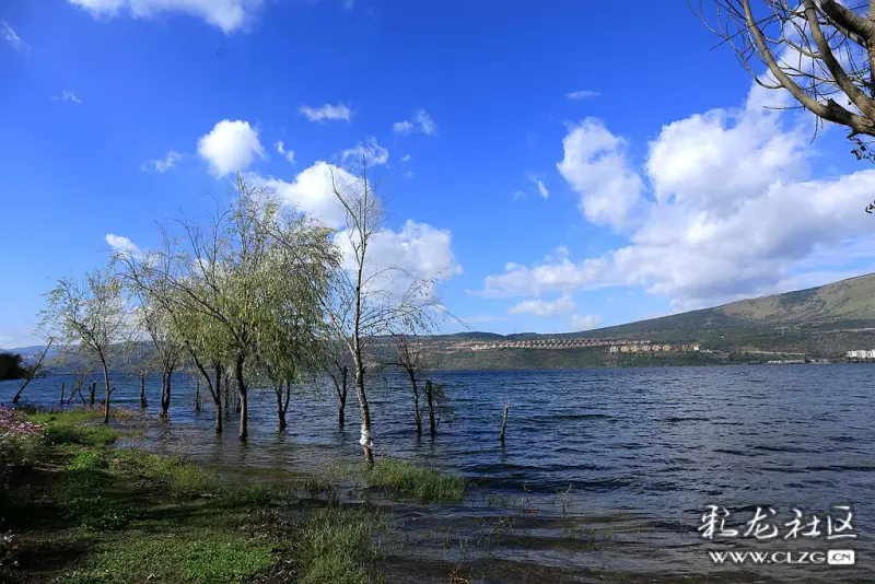 陽宗海柳樹灣風光