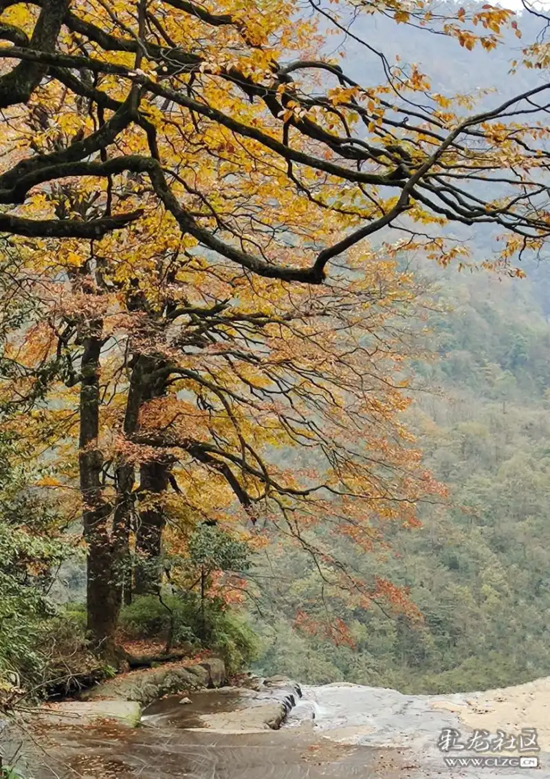 小草坝风景区,植被茂盛,森林景观盎然,溪少潺潺,飞流瀑布,以雄伟和