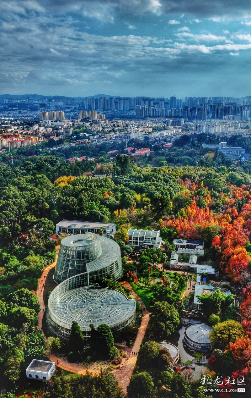 鸟瞰初冬的昆明植物园