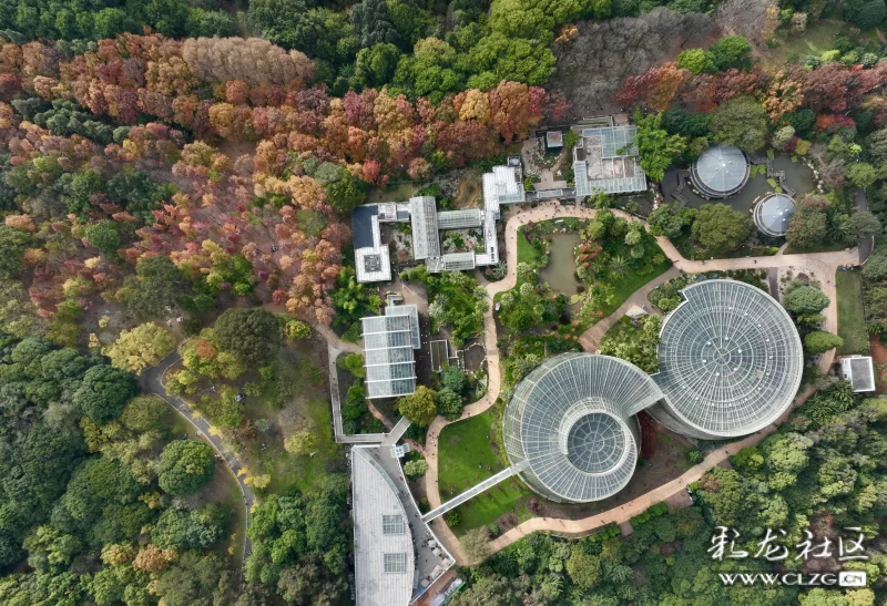 鸟瞰初冬的昆明植物园