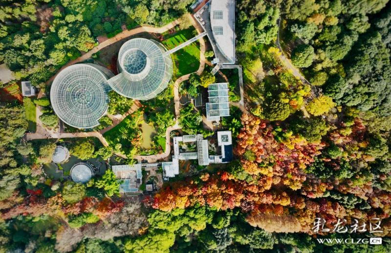 鸟瞰初冬的昆明植物园