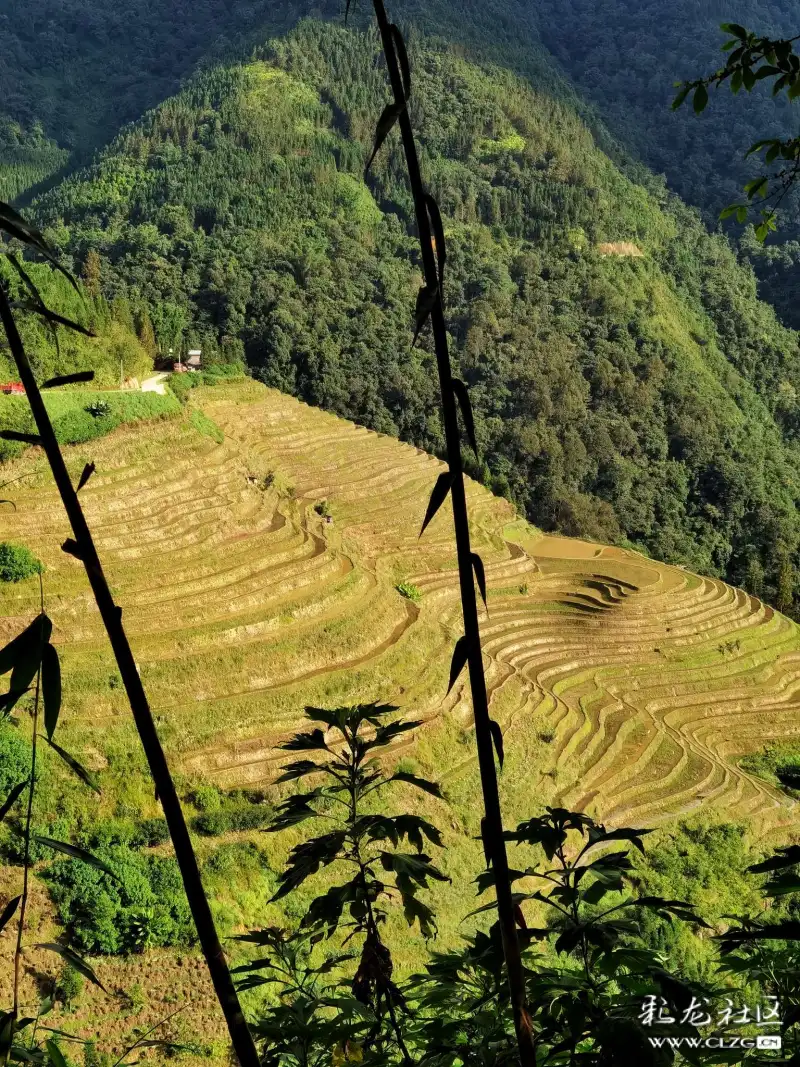 美丽的哈呢山寨这里是元阳县俄扎乡普甲村龙卜寨这里风景很美丽