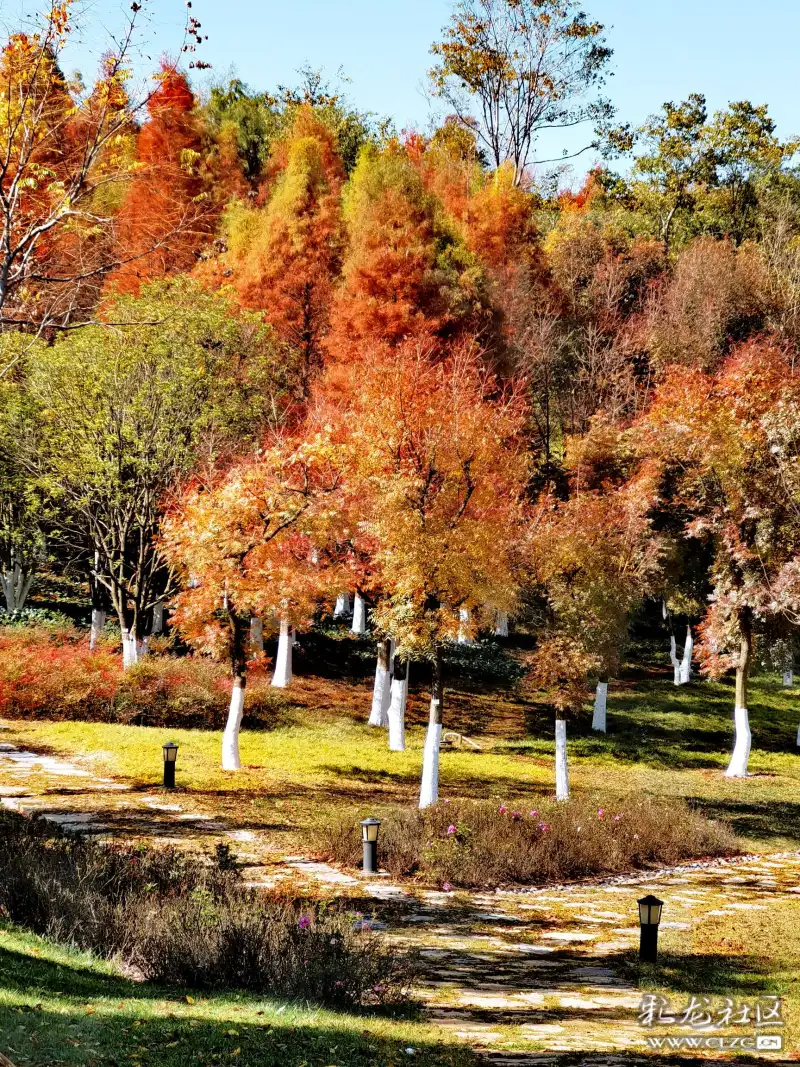 白龙潭公园风景美