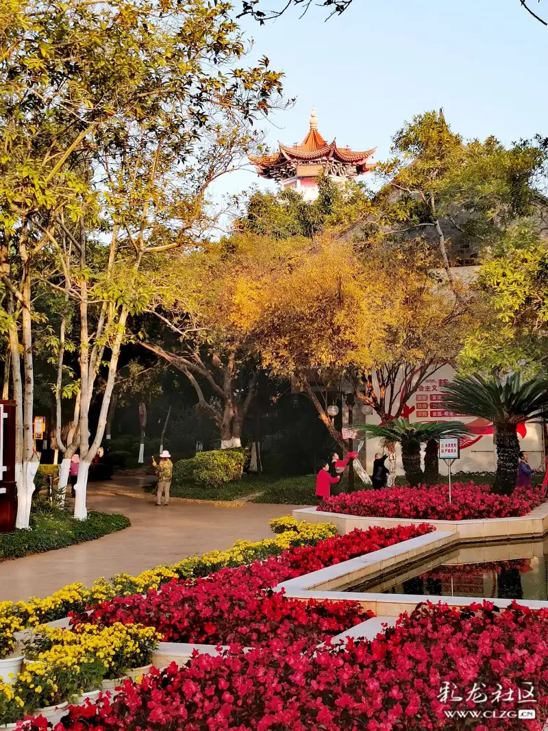 开远泸江公园的早晨