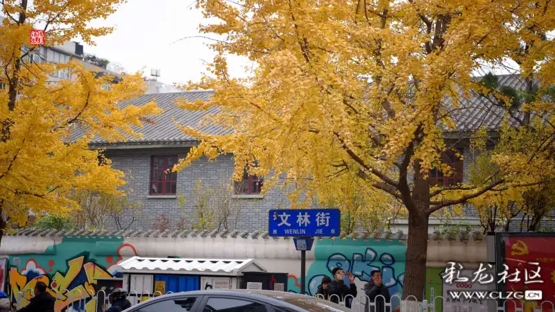 昆明文林街打卡202112