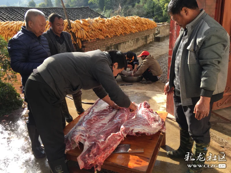 冬日裡的期盼清水河的殺豬飯