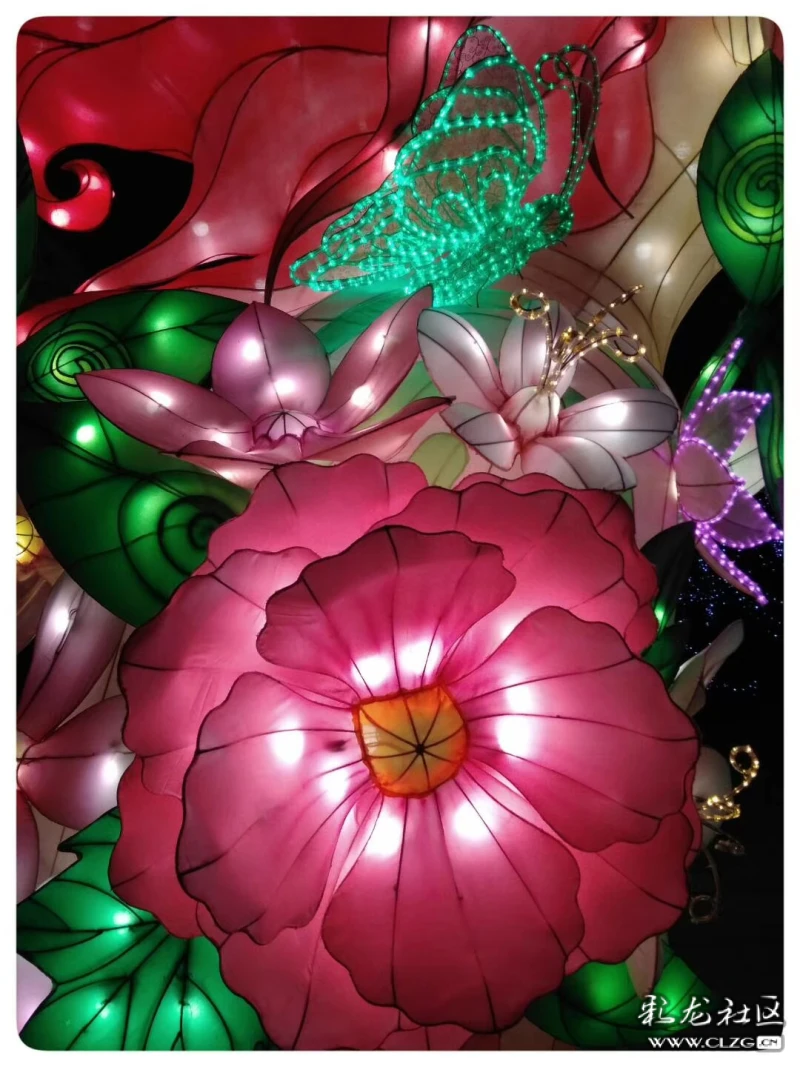 嵩明往事花灯爱好者聚集