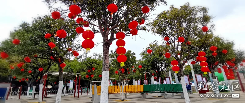 小区里的红灯笼-彩龙社区