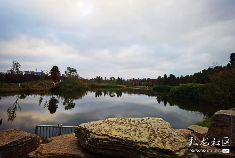 昆明環湖路邊的海洪溼地,空氣清新,海鷗棲息地,美麗的風景就在身邊.