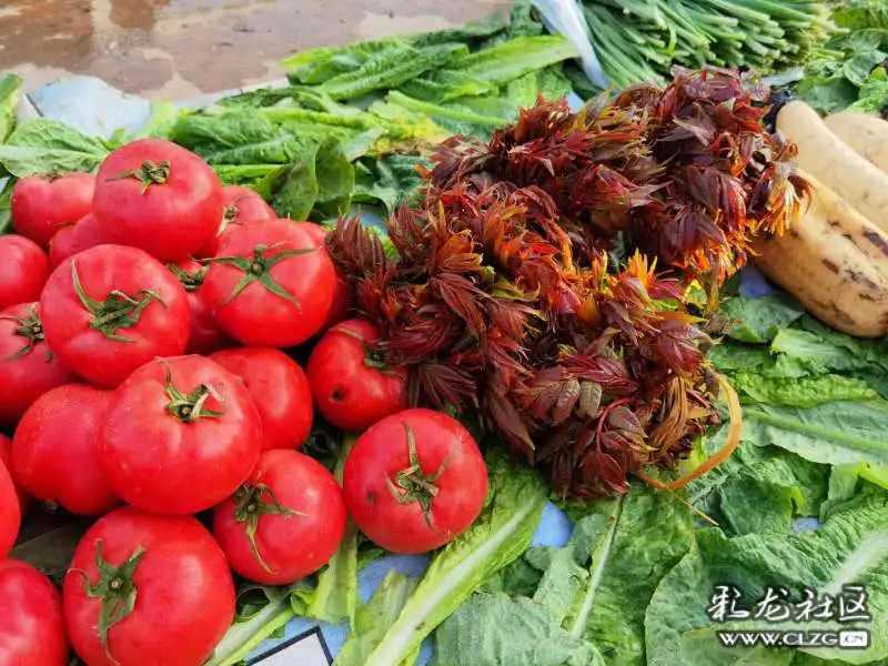 图源:小木子据央视财经《消费主张》栏目报道,目前香椿在全国市场都没