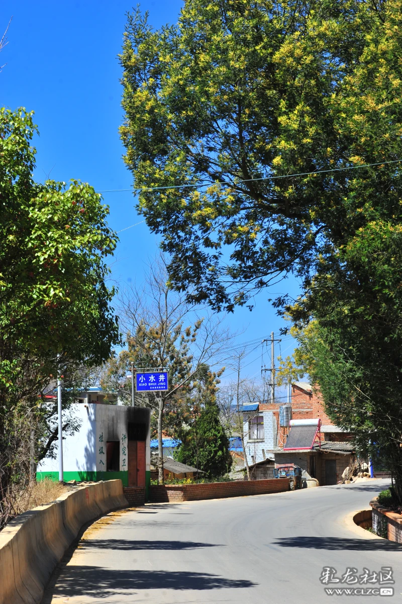 昆明市富民县民族团结进步示范村小水井村的春色.