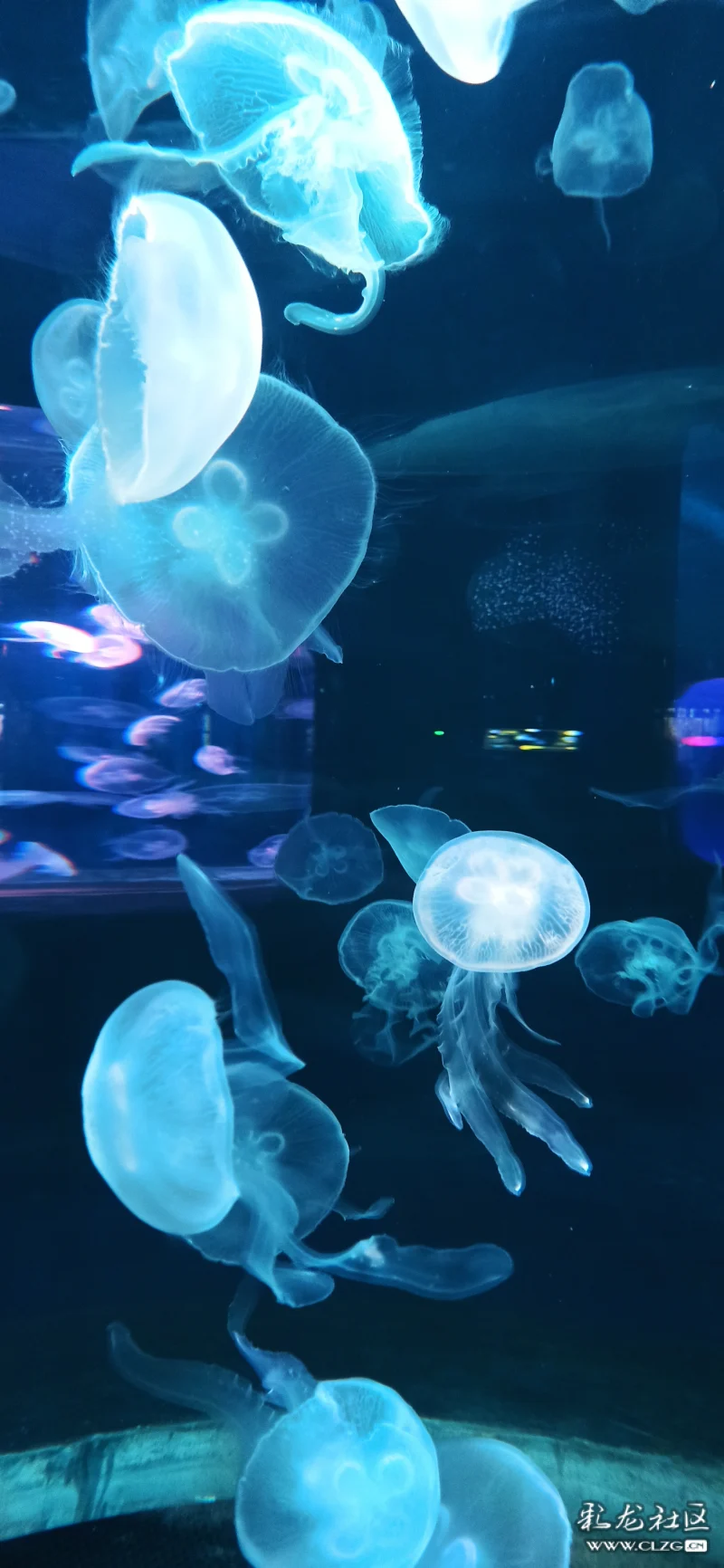 "昆明融创海世界乐园"是儿童猎奇和启智的天堂(2)-彩龙社区