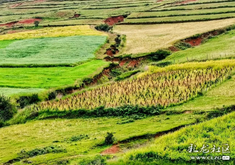 临风问天格萨拉•红土地
