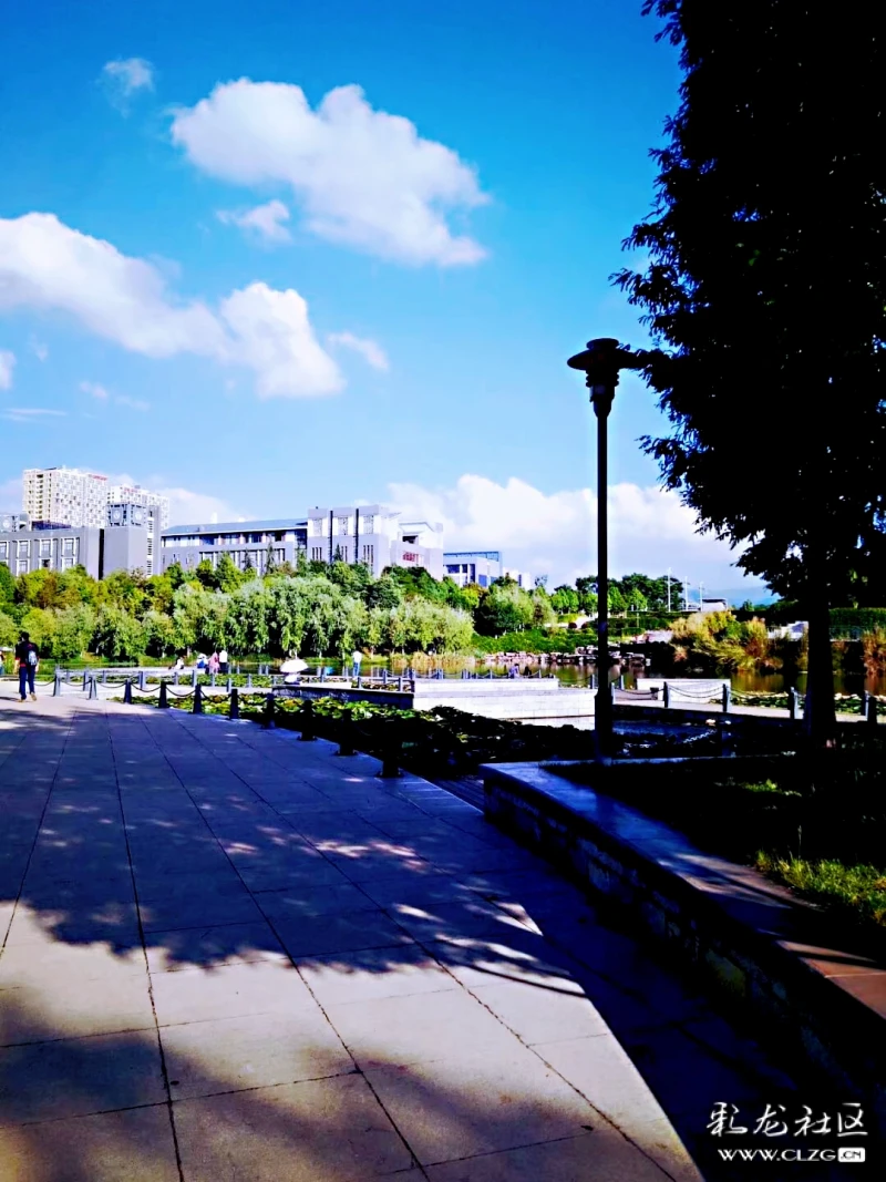 云南師范大學(xué)文理學(xué)院學(xué)費_云南師范文理學(xué)院怎么樣_云南師范大學(xué)文理學(xué)院收費標(biāo)準(zhǔn)