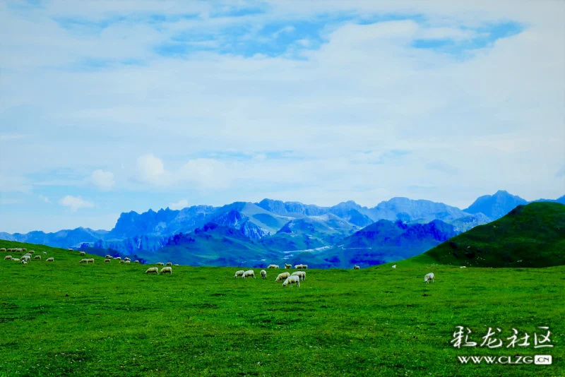 高山上开阔的草地叫海子
