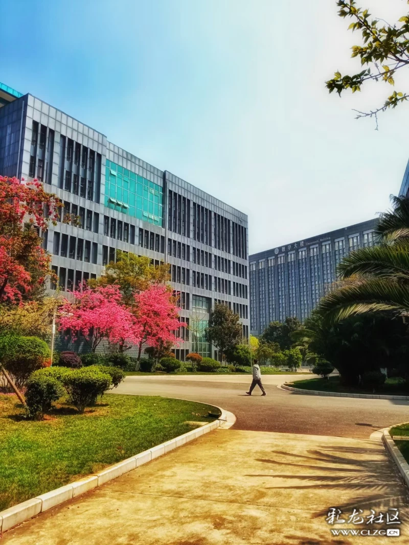 昆明冶金高等专科学校的四季风光