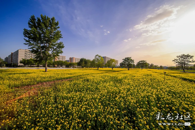北航航天博物馆北航夏景南湖沙河大门沙河主楼图书馆