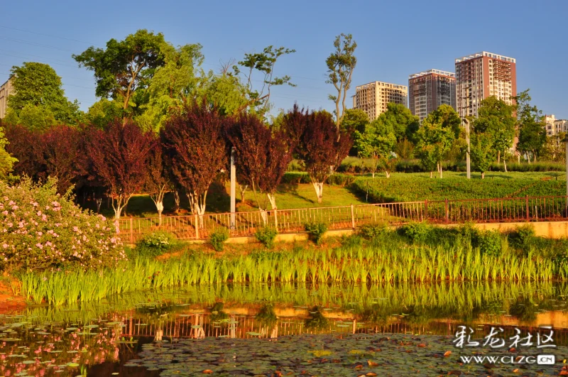 初夏来安宁宁湖吹吹风看看风景吧