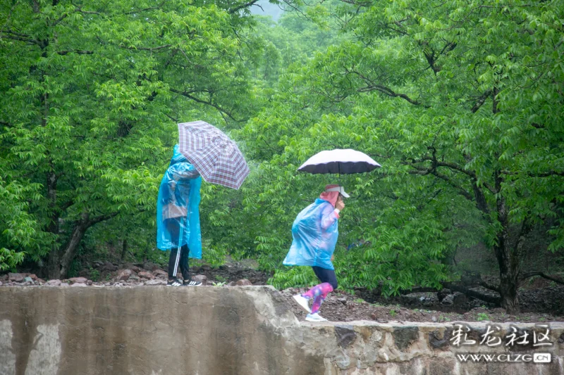 顶风冒雨继续前行