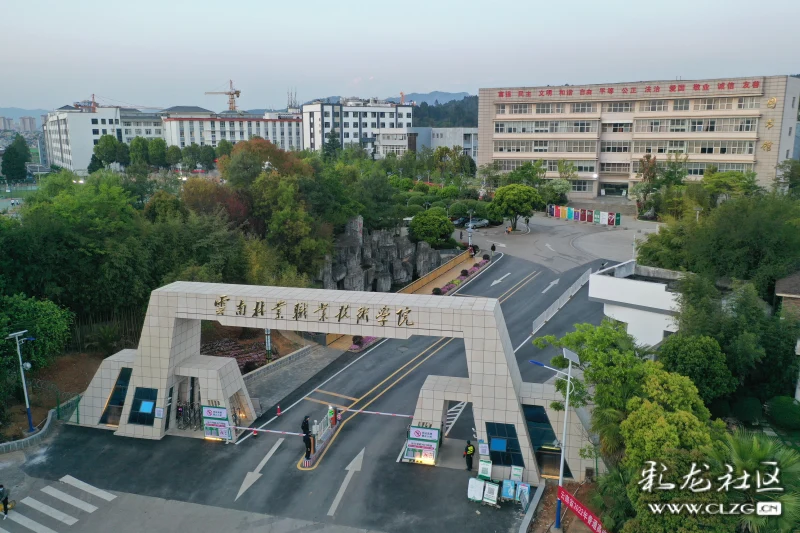 云南林业职业技术学院—让我们在夏天见-彩龙社区