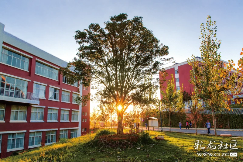 雲南大學滇池學院楊林校區