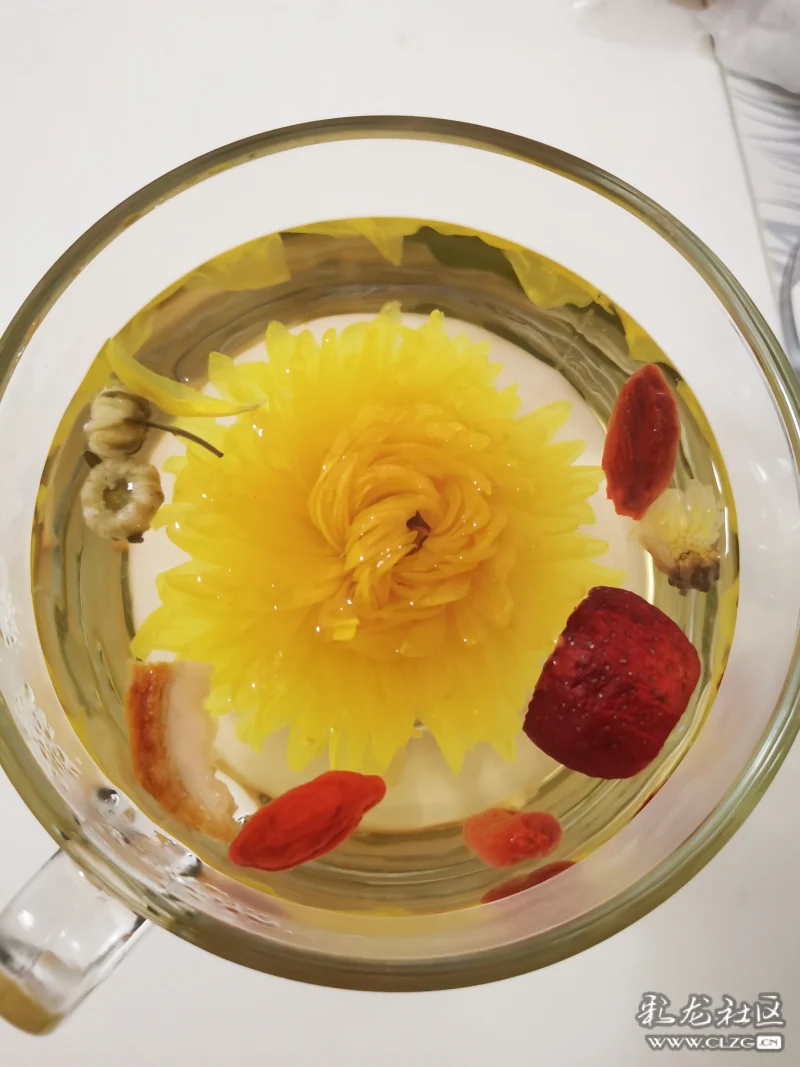 云朵金菊 菊花茶-彩龙社区