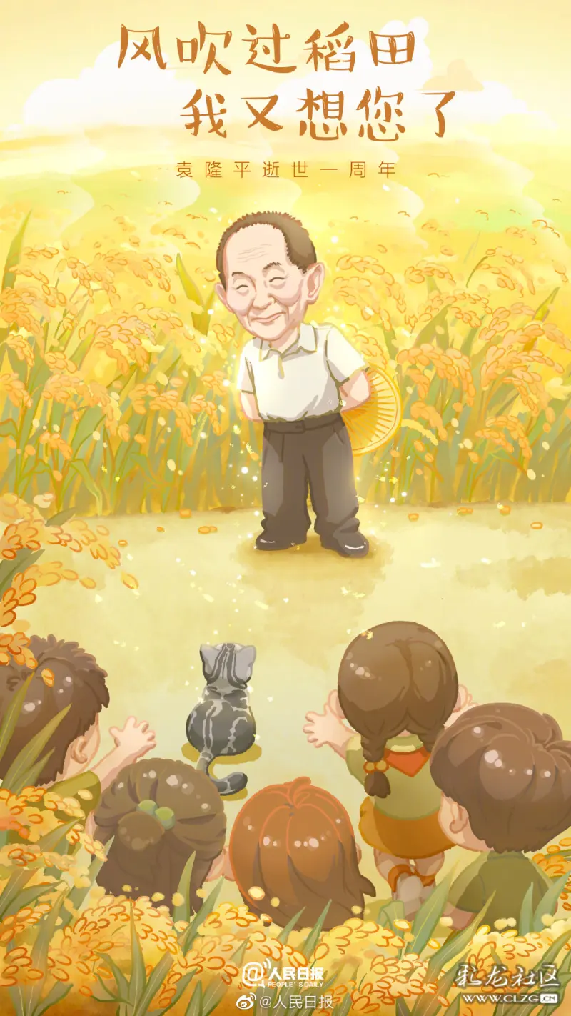 袁隆平:荣恩泽稻满,米粮天下香