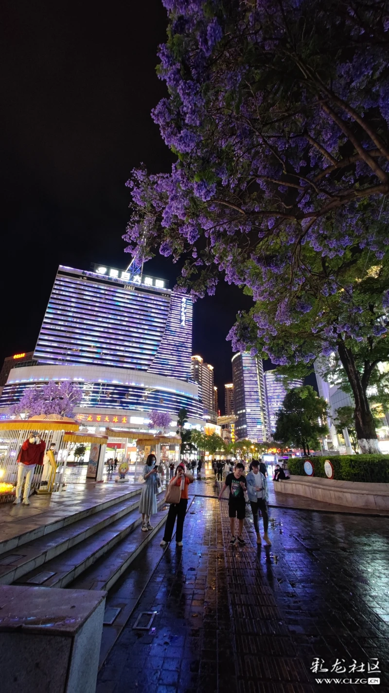 夜拍南屏街-彩龙社区