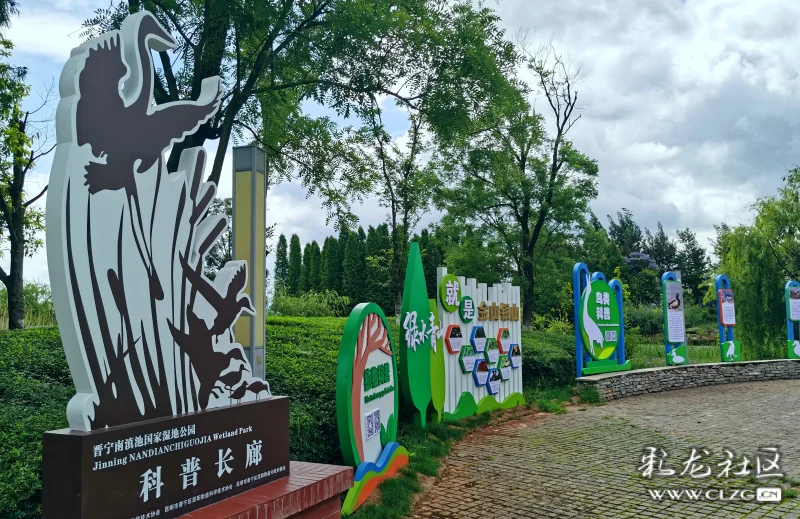 湿地科普文化长廊正式亮相南滇池国家湿地公园
