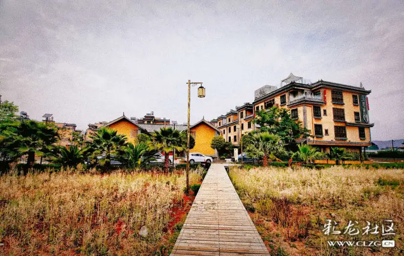 云南澄江抚仙湖畔的幸福村马房村夏景二