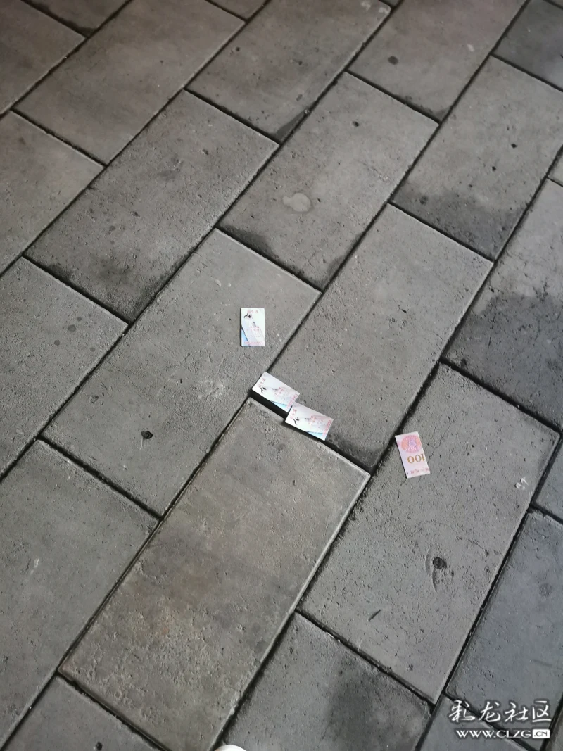 如此发小黄卡真是惊呆我伙