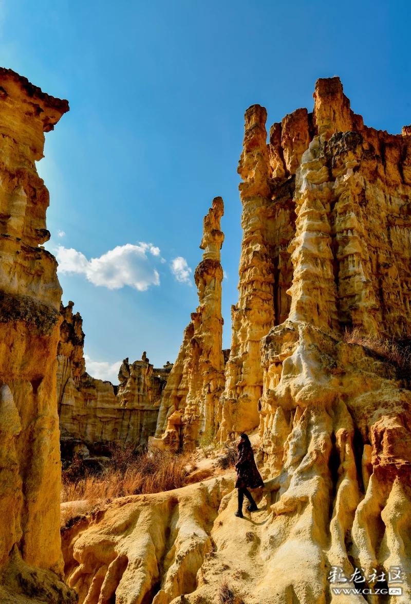 牟定五彩沙林-彩龙社区