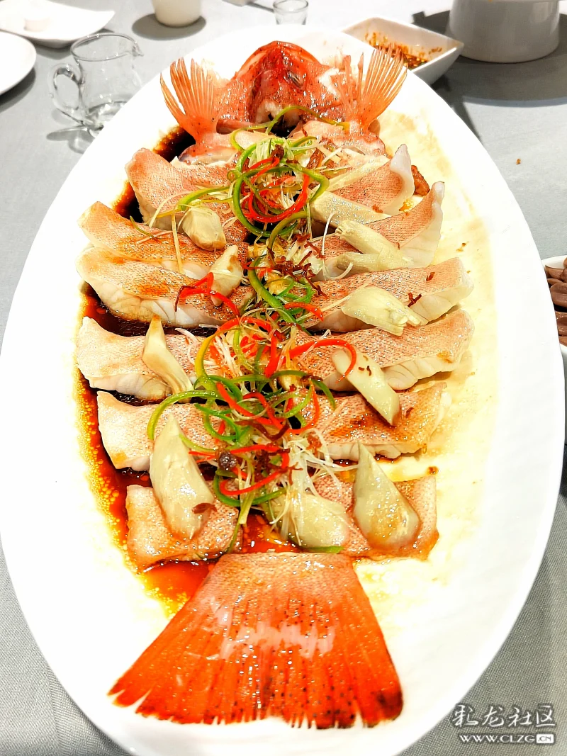 东星斑蒸鲜鸡枞,云南野生菌新吃法-彩龙社区