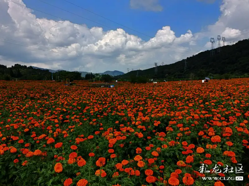 安宁温泉后甸花海一火把节