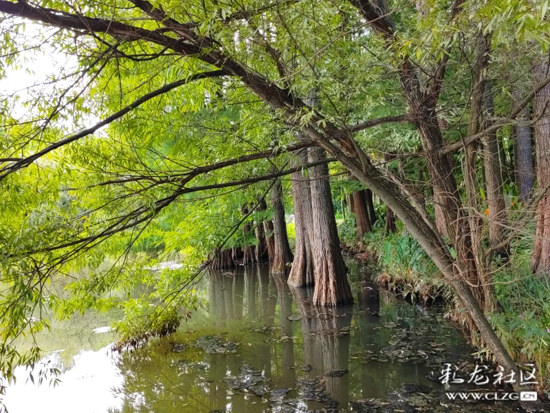 處暑第一天的昆明植物園東園