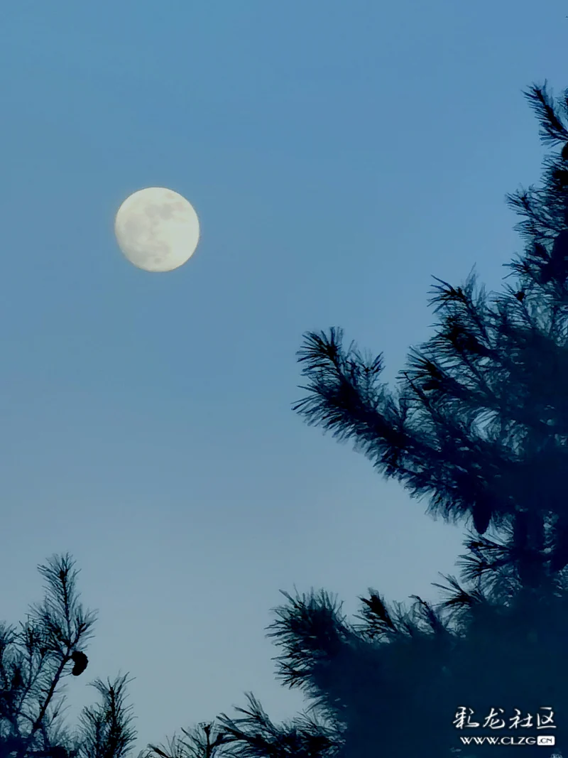 又是一年中秋夜一轮明月当空照