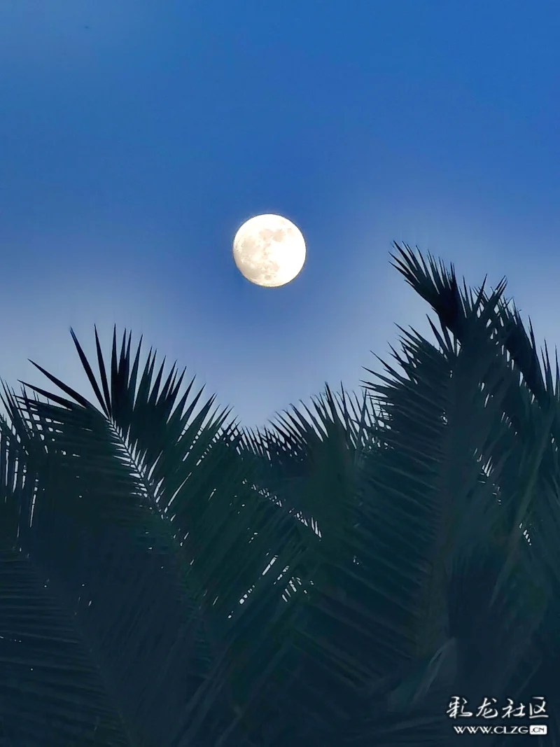 又是一年中秋夜一轮明月当空照