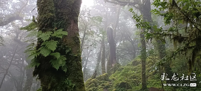 入哀牢山