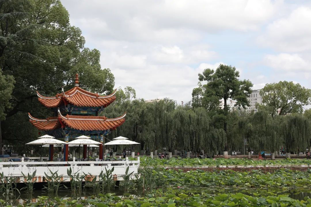 翠湖4.jpg