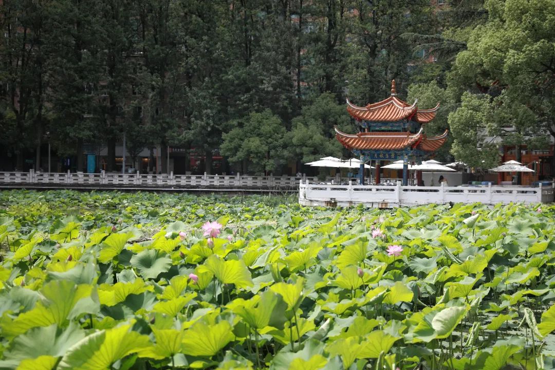翠湖2.jpg